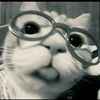 youuu5791