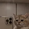 hieucutevippro1