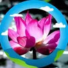 trangpham5093