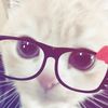 luvvv_ichaal2