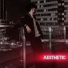 aesthetic31253