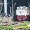 ikan_lohan08