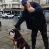 virinelcoucou