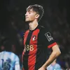 wydjdmva9q3