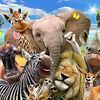 elreinoanimal2420