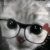billy._011