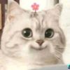 mimei1599