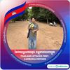 dom263927