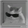 rizky_rzw1