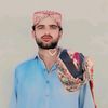 muhammad.hanzala2595