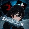 zanetsu69