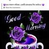 nahidnahid0804