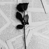 introvertedmusica