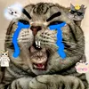 cutehihihihi