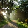 traicao_2244