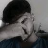 .faz244