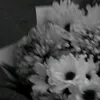 ruqoay_7