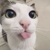 culii0p
