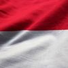 Nasional.Is.Back