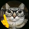 catusingtiktoc7