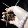 maryamuzzamani903