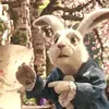 .white.rabbit7