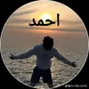 user186369669