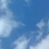 nyahnao