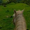 aisha_rayana