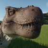 Croc