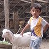 makaram.ali8