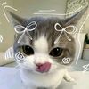 fi_zah7