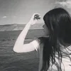 fyo1_1