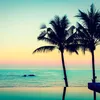 augustin_55