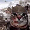 rigel.al.iraqi