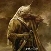 saif_s600