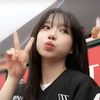 ale__xia16