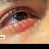 raja.zain7030