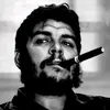 hama_akoy3