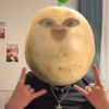 starsoliwka