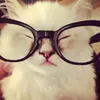 ninz_soy