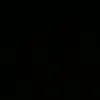 mary_33211