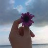 sara.alam122