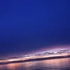blue_peanut231
