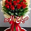 user40246658566221