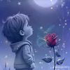 user81419738610257