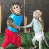 Action Monkey 🐒