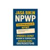jasa_pembuatan.npwp
