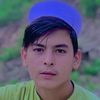 hadayat.khan3361