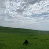 ozbe_770